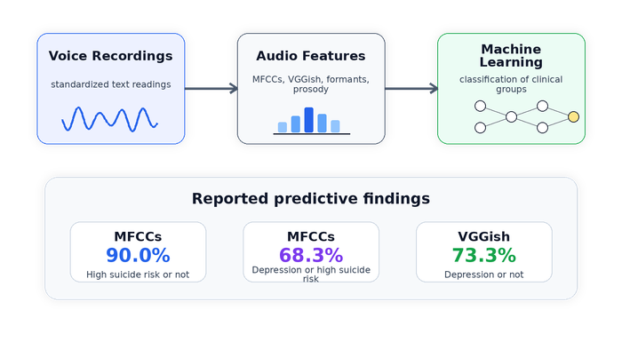 AI-detected auditory findings of depression and suicide risk visual
